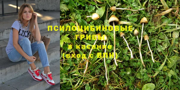 кокс Алексин