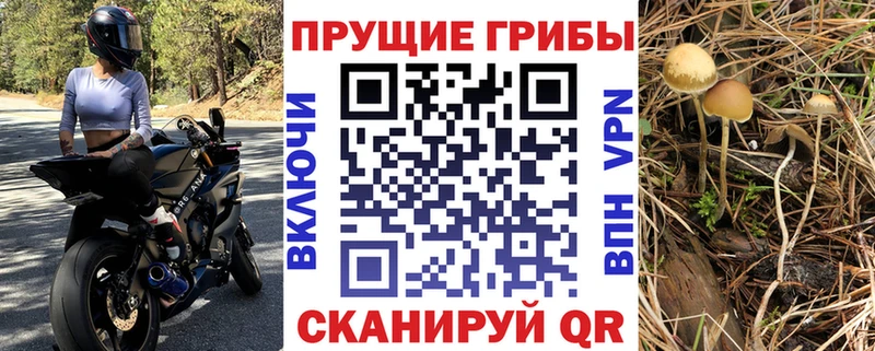 Галлюциногенные грибы прущие грибы  Конаково 